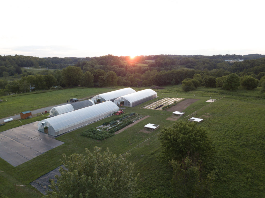 Drone shot of Farm at dusk